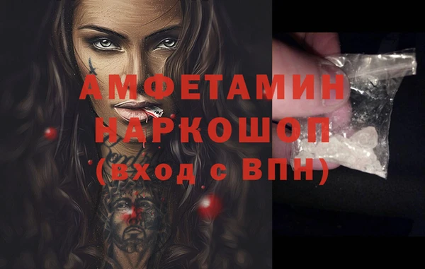 индика Алзамай