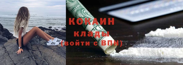 соль ск Ельня