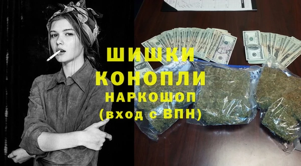 индика Алзамай