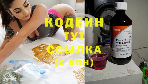 дживик Елабуга