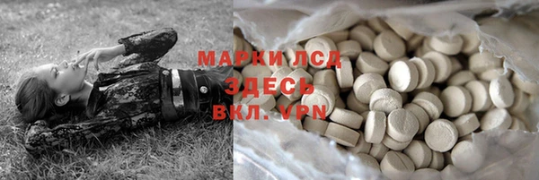 индика Алзамай
