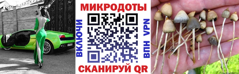 blacksprut   Тюмень  Галлюциногенные грибы GOLDEN TEACHER  наркотики 