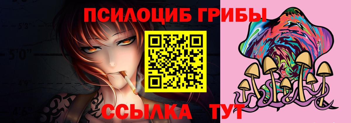 Псилоцибиновые грибы MAGIC MUSHROOMS  Псилоцибиновые грибы прущие грибы  Тюмень  Вход с VPN 